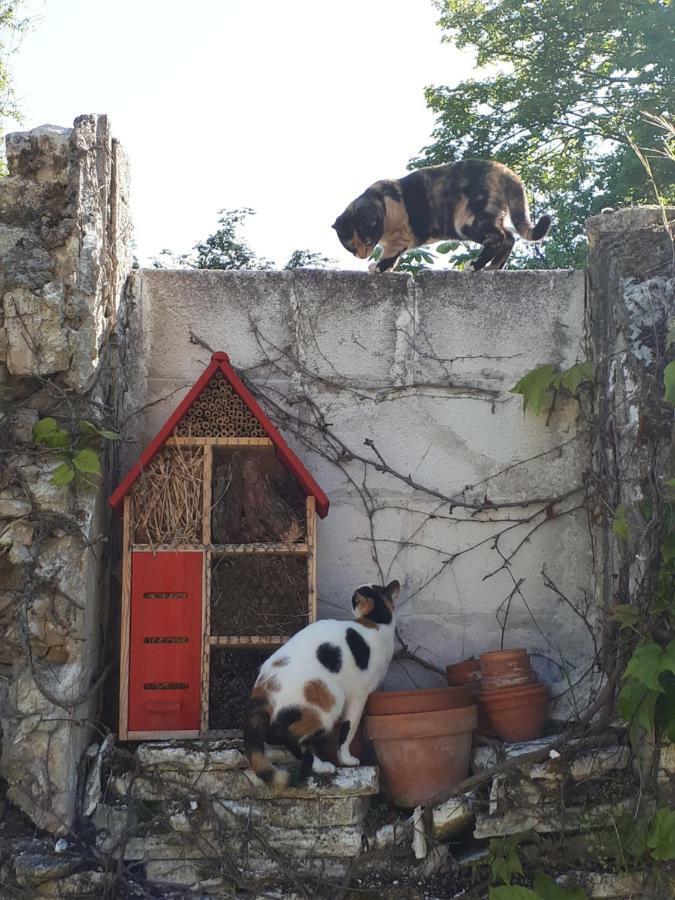 Au Chat Perche Mareil-sur-Mauldre エクステリア 写真